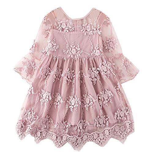 TTYAOVO Vestido de Fiesta de Princesa de Encaje para Niñas Vestido de Novia de Niña de Las Flores Tamaño(100) 2-3 Años 08 Rosa