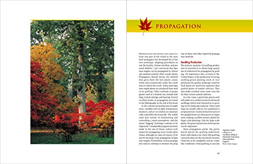 Vertrees, J: Japanese Maples: The Complete Guide to Selection and Cultivation