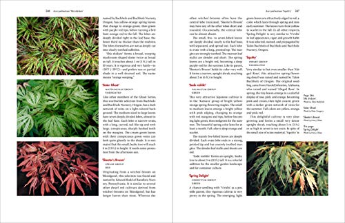 Vertrees, J: Japanese Maples: The Complete Guide to Selection and Cultivation