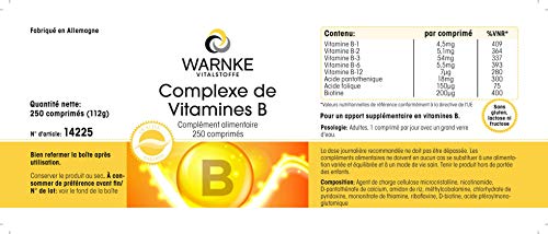 Vitamina B Complex – Vegetariano – Con todas las vitaminas B esenciales – 250 cápsulas