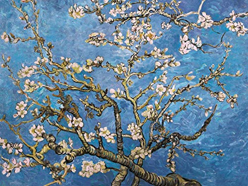 1art1 Vincent Van Gogh - Almendro En Flor, 1890 Cuadro, Lienzo Montado sobre Bastidor (80 x 60cm)