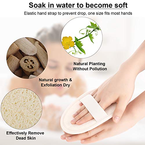 2 Piezas Depuradores de Espalda Exfoliante de Esponja Vegetal Depurador de Espalda de Correa de Luffa con Almohadilla eExfoliante de Esponja Vegetal Esponja de Baño Natural Depurador de Cuerpo