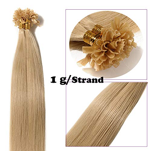 20"(50cm) Extensiones de Queratina Pelo Natural [1g * 50 Mechas] #24 Rubio Natural 100% Remy Cabello Humano U Nail Tip Pre Bonded Human Hair Extensions Largo Liso (50g)