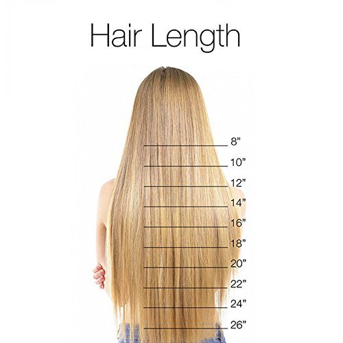 26"(66cm) Extensiones de Cabello Clip Pelo Sintético Se Ve Natural [Arena Oscura mezcla Rubio Claro] [Una Pieza 5 Clips] Lisas Largas Postizos Pelucas para Mujer (120g)