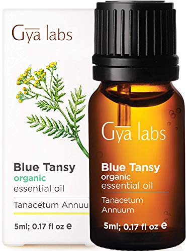 Aceite esencial de Blue Tansy orgánico (5 ml) - Grado terapéutico 100% puro - Gya Labs