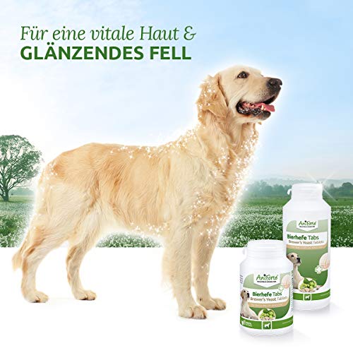 AniForte Tabletas de levadura de Cerveza Perros 500 Piezas - Producto Natural, Pelo Brillante y Fuerte, Piel Vital, Condición General de fortalecimiento y promoción, Vitaminas y minerales