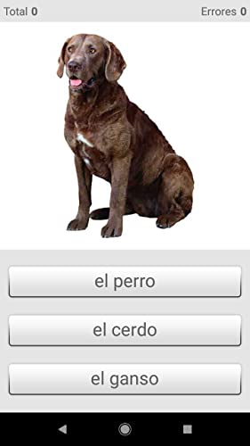 Aprender palabras en español con Smart-Teacher