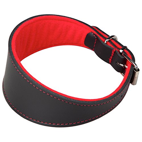 Arppe 2154014501 Collar Galgo Cuero Superfelt, Negro y Rojo