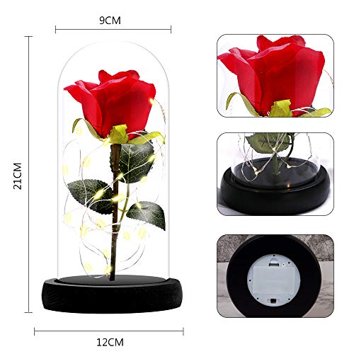 ASANMU Kit de Rosas, Bella y la Bestia Rosa de Seda Roja y luz LED con Pétalos Caídos en Cúpula de Cristal sobre una Base de Madera Mejor Regalo para día de San Valentín, Navidad, Cumpleaños (Roja)