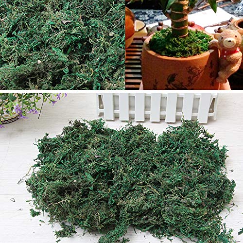 CAILI Musgo Artificial, Artificial Lichen,Planta Simulada de Musgo Verde,Ideal para Decorar Plantas, Flores o Guirnaldas,Decoración del Patio del Jardín de Casa (400g)