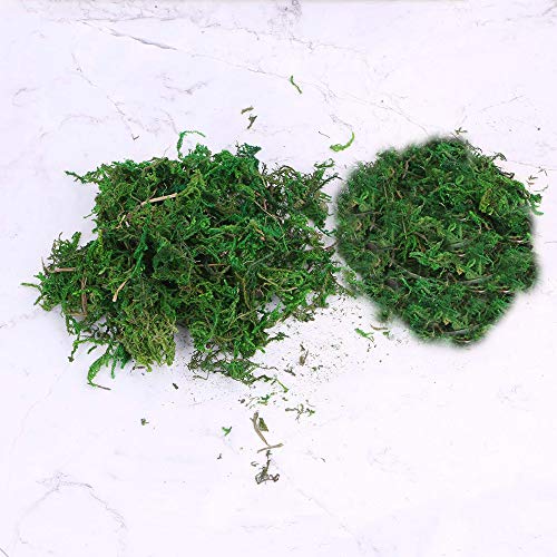 CAILI Musgo Artificial, Artificial Lichen,Planta Simulada de Musgo Verde,Ideal para Decorar Plantas, Flores o Guirnaldas,Decoración del Patio del Jardín de Casa (400g)