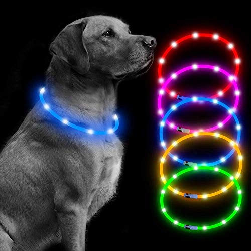 Collar de perro LED recargable USB que brilla intensamente para perros (azul)