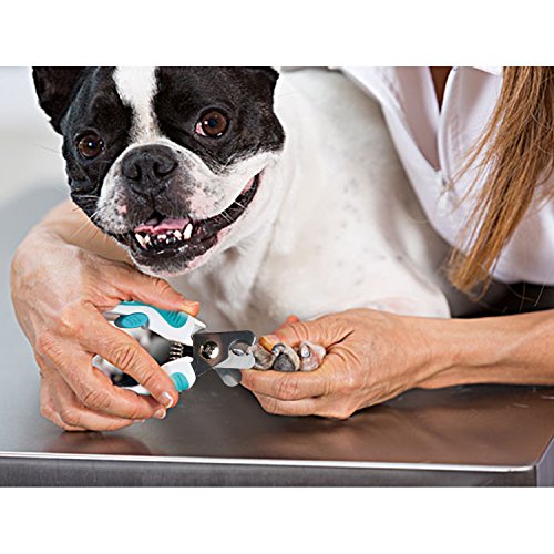 Cortauñas para Perros Profesional Tijeras de uñas de Grande Mediano perros con Lima de Uñas(Azul)