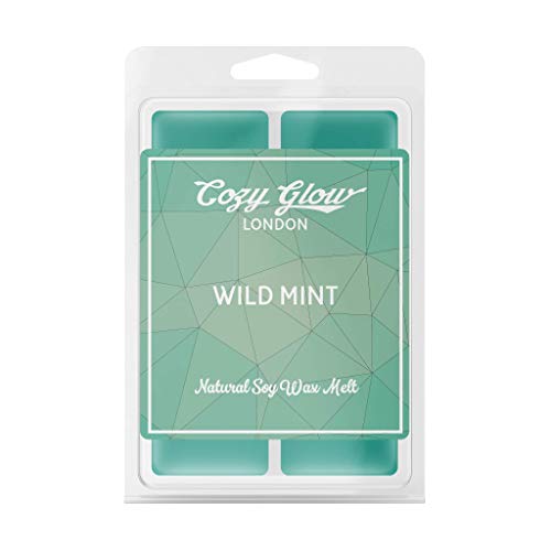 Cozy Glow Wild Mint cera de soja derretida