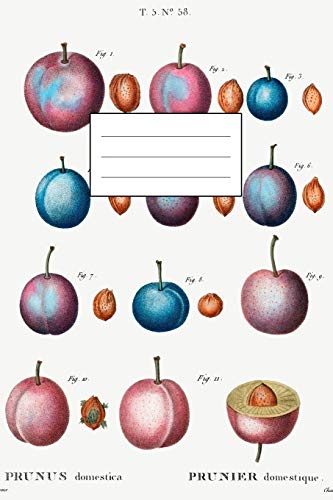 Designer Notizheft: liniert mit Motiv "Pflaume (Prunus domestica)" von Pierre-Joseph Redouté, Notebook, Schreibheft etwa A5 (15,3 x 22,9 cm) mit ... stilvolle Geschenkidee für Gartenliebhaber