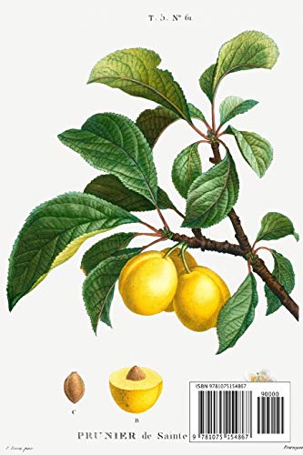 Designer Notizheft: liniert mit Motiv "Pflaume (Prunus domestica)" von Pierre-Joseph Redouté, Notebook, Schreibheft etwa A5 (15,3 x 22,9 cm) mit ... stilvolle Geschenkidee für Gartenliebhaber