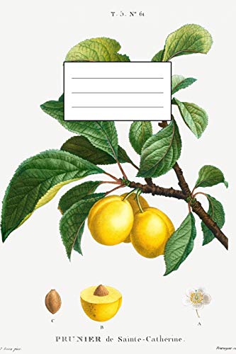 Designer Notizheft: liniert mit Motiv "Pflaume (Prunus domestica)" von Pierre-Joseph Redouté, Notebook, Schreibheft etwa A5 (15,3 x 22,9 cm) mit ... stilvolle Geschenkidee für Gartenliebhaber