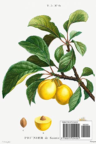 Designer Notizheft: liniert mit Motiv "Pflaume (Prunus domestica)" von Pierre-Joseph Redouté, Notebook, Schreibheft etwa A5 (15,3 x 22,9 cm) mit ... stilvolle Geschenkidee für Gartenliebhaber