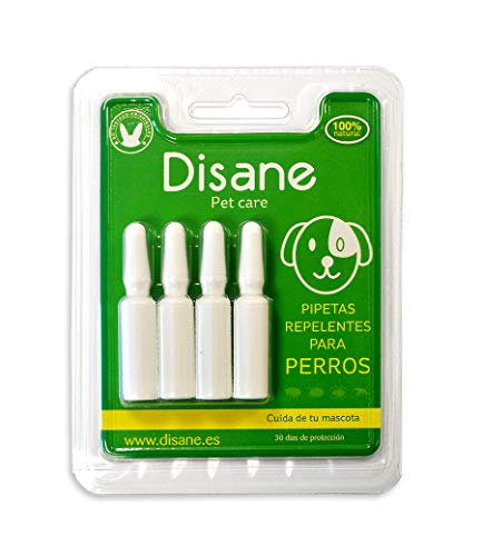 DISANE Pipetas Antiparasitarias para Perros 100% Naturales | 4 Uds | 4 Meses de Protección Contra Insectos y Parásitos: Pulgas, Garrapatas y Mosquitos | Antipulgas Sin Toxicidad para el Perro