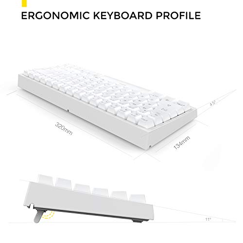 DREVO Gramr Teclado Mecánico Gaming Retroiluminación LED Rainbow, Tamaño 75% Tipo TKL con 84 Teclas QWERTY Keyboard Interruptor Rojo,Blanco