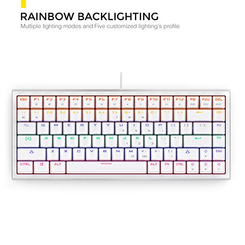 DREVO Gramr Teclado Mecánico Gaming Retroiluminación LED Rainbow, Tamaño 75% Tipo TKL con 84 Teclas QWERTY Keyboard Interruptor Rojo,Blanco