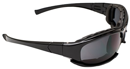 Eagle ARINDROPOLAW Indropolaw: Gafas de protección Laboral con Lente polarizada. Indicadas para: Trabajo + Moda + Sport