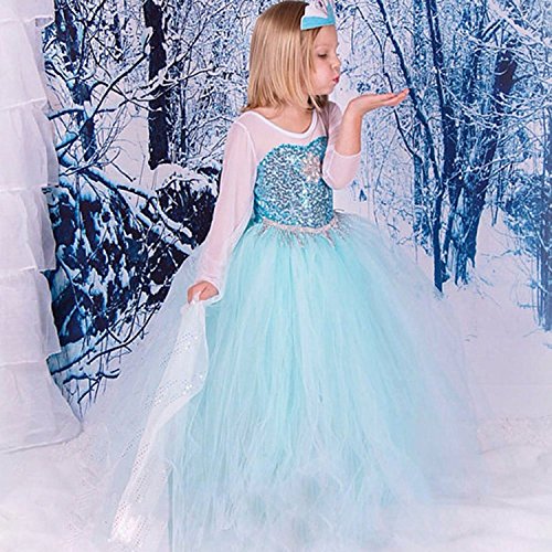 ELSA & ANNA® Princesa Disfraz Traje Parte Las Niñas Vestido (Girls Princess Fancy Dress) ES-FR314 (5-6 Años, ES-FR314)
