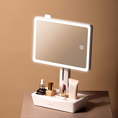 Fancii Espejo de Maquillaje con Luz Grande, Aumento de 1x y 10x - Espejo Sobremesa Ajustable con Pantalla Táctil, Luz LED Natural, USB y Pilas con Organizador de Cosméticos (Gala)