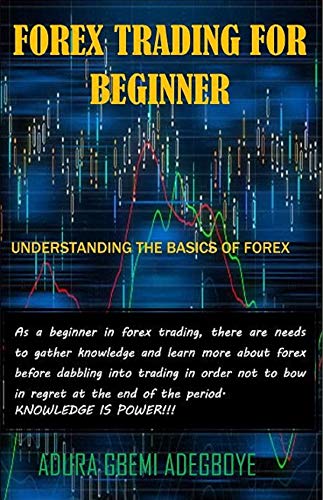Forex Trading For Beginner: Understanding The Basics Of Forex (English Edition)