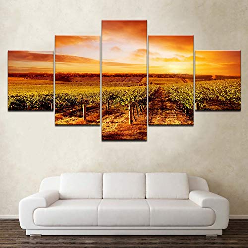 GHTAWXJ Sunset Hills Vineyards Landscape 5 Panels HD Print Wall Art Modern Poster Art Canvas Painting for Living Room Home Decor