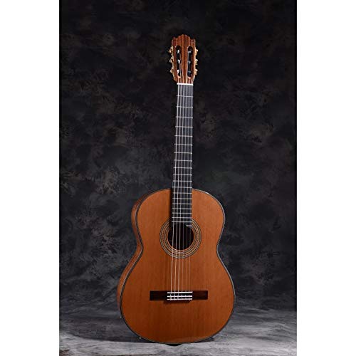 Guitarra Clásica MARTÍNEZ modelo ESPAÑA ES-10C Tapa de Cedro, TODO MACIZO