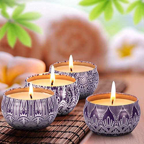 Hausware - Velas de citronela para exteriores e interiores, set de regalo de velas perfumadas, paquete de 4 velas de cera de soja