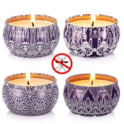 Hausware - Velas de citronela para exteriores e interiores, set de regalo de velas perfumadas, paquete de 4 velas de cera de soja