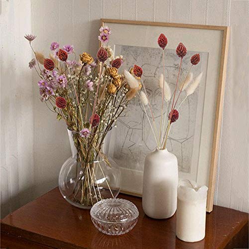 HUAESIN 30pcs Flores Secas Naturales Pequeñas Flor Seca Roja Ramillete Flores Artificiales Pino Seco Craspedia para Decoracion Jarrones Hogar Boda Manualidades Interior Cocina Mesa Cafeteria Fiesta