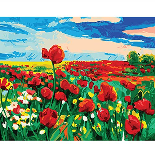 Hyllbb Diy pintura al óleo Perfume Amapolas Para Colorear Por Números Imágenes De Arte De Pared Para Sala De Estar Pintura Al Óleo Sobre Lienzo Óleo Cuadros Cuadros-40 * 50Cm,With Frame