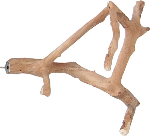 Java Wood Multi Branch Perch - Small - 16 in. x 1.2 in. by A&E Cage Co.