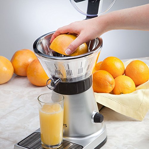 Krups Citrus Press ZX7000 - Exprimidor con tapa y clip para sujetar cítricos, filtro de pulpa, boquilla de servicio directo al vaso, 130 W, acero inoxidable, color plata