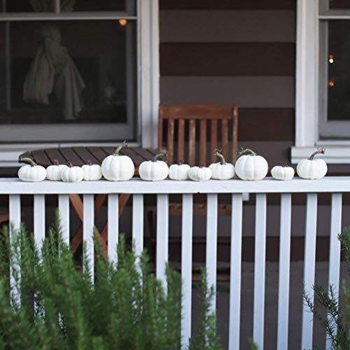 Kylewo 6 Deco Blanco | Calabazas Decorativas de Halloween | Calabazas | Calabazas Ornamentales y Calabazas para decoración de Halloween y decoración de otoño.