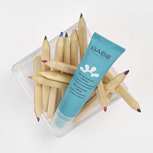 Laboratorios Babé - Reparador Labial 15 ml, Protector Labial, Regenerador, Acción Hidratante Inmediata, Labios muy Secos, Reparación Total, Con Aceites Vegetales Nutritivos, Transparente