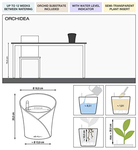 LECHUZA ORCHIDEA - Macetero de riego automático, pequeña Maceta para Interior sin Orificio de Drenaje con sustrato de Plantas, Resina de Poli D18 H19,5 cm, Color Blanco Mate