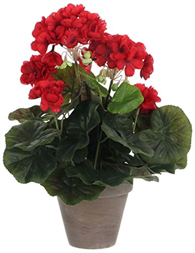 MICA Decorations 975161 Flores, Geranium Grandes, Color Rojo