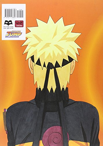 Naruto. Illustration Book