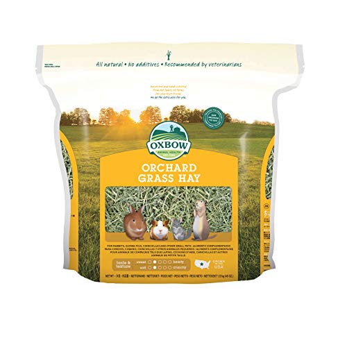 Orchard Grass Heno para Mascotas pequeñas Oxbow, 1,13 kg