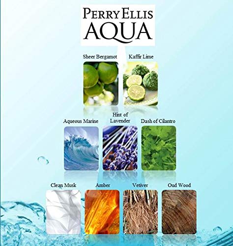 Perry Ellis Aqua 100 ml