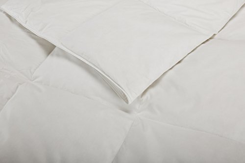 Pikolin Home - Edredón/Relleno nórdico natural de plumón de oca 92%, funda 100% algodón de percal, 250gr/m², 240x220cm-Cama 150/160 (Todas las medidas)