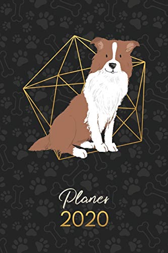 Planer 2020: Terminkalender Wochenplaner Monatsplaner  - Border Collie Brown White (12 Monate Jan bis Dez - Kalender - Hund)