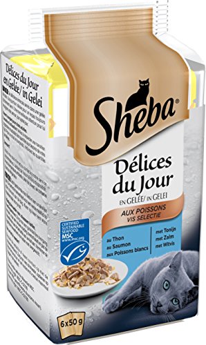 Sheba Délices du Jour – Nourriture Humide pour Chat Adulte - Sélection aux Poissons en Gelée – Sachets Fraîcheur 72 x 50g