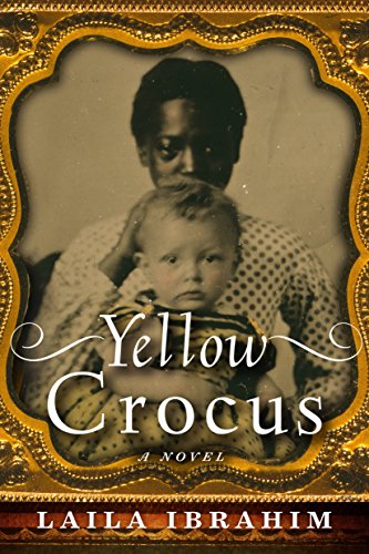 Yellow Crocus (English Edition)