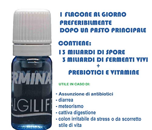 YOGERMINA 100 | 16 MIL MILLONES DE FERMENTOS LÁCTICOS VIVOS Y SPORIFICADOS, incluidos Lactobacillus Acidophilus y Bifidobacterium. Con aloe vera. Útil para la flora intestinal