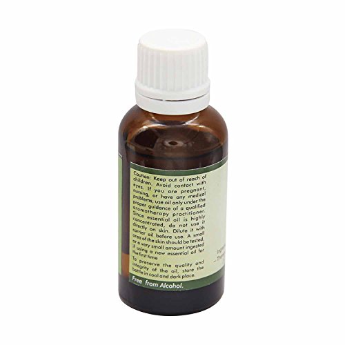 Aceite esencial copaiba | Copaifera officinalis | Para piel | 100% natural puro | Vapor destiló | Grado Terapéutico | Copaiba Essential Oil | 5ml | 0.169oz By R V Essential